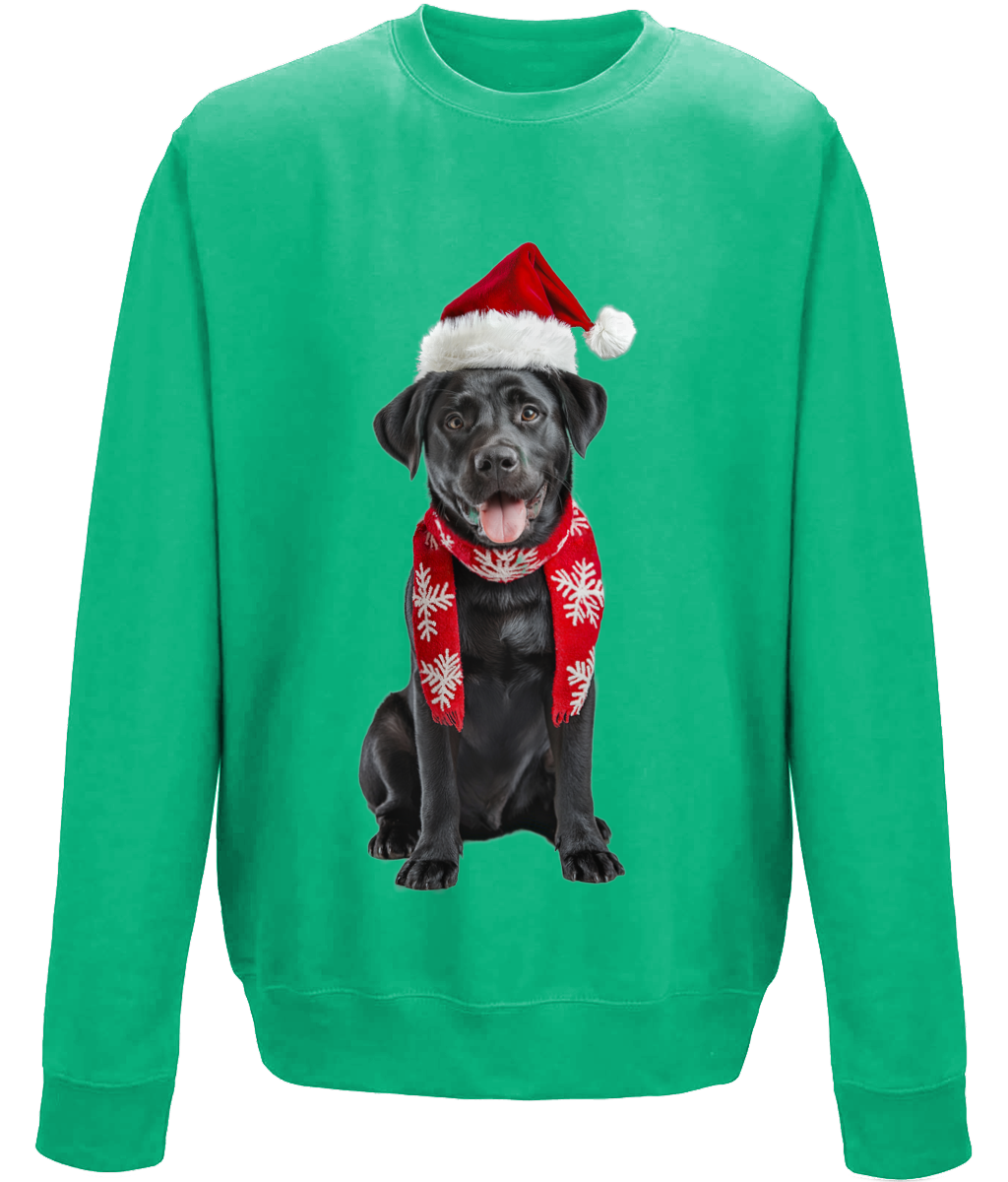 Labrador Festive Du Childrens Sweatshirt (Standard)