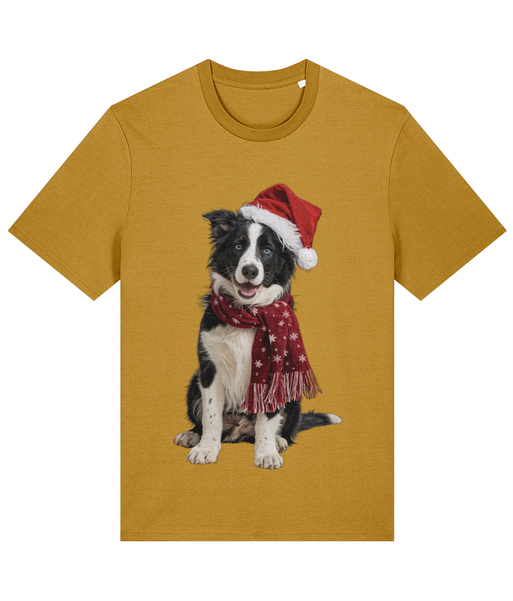 Border Collie Festive Seren T-shirt (Premium)