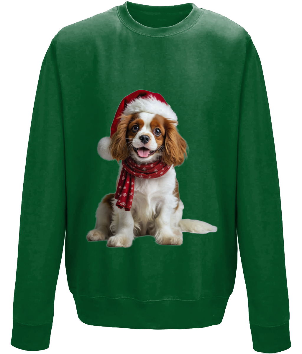 King Charles Festive Remy Childrens Sweatshirt (Standard)