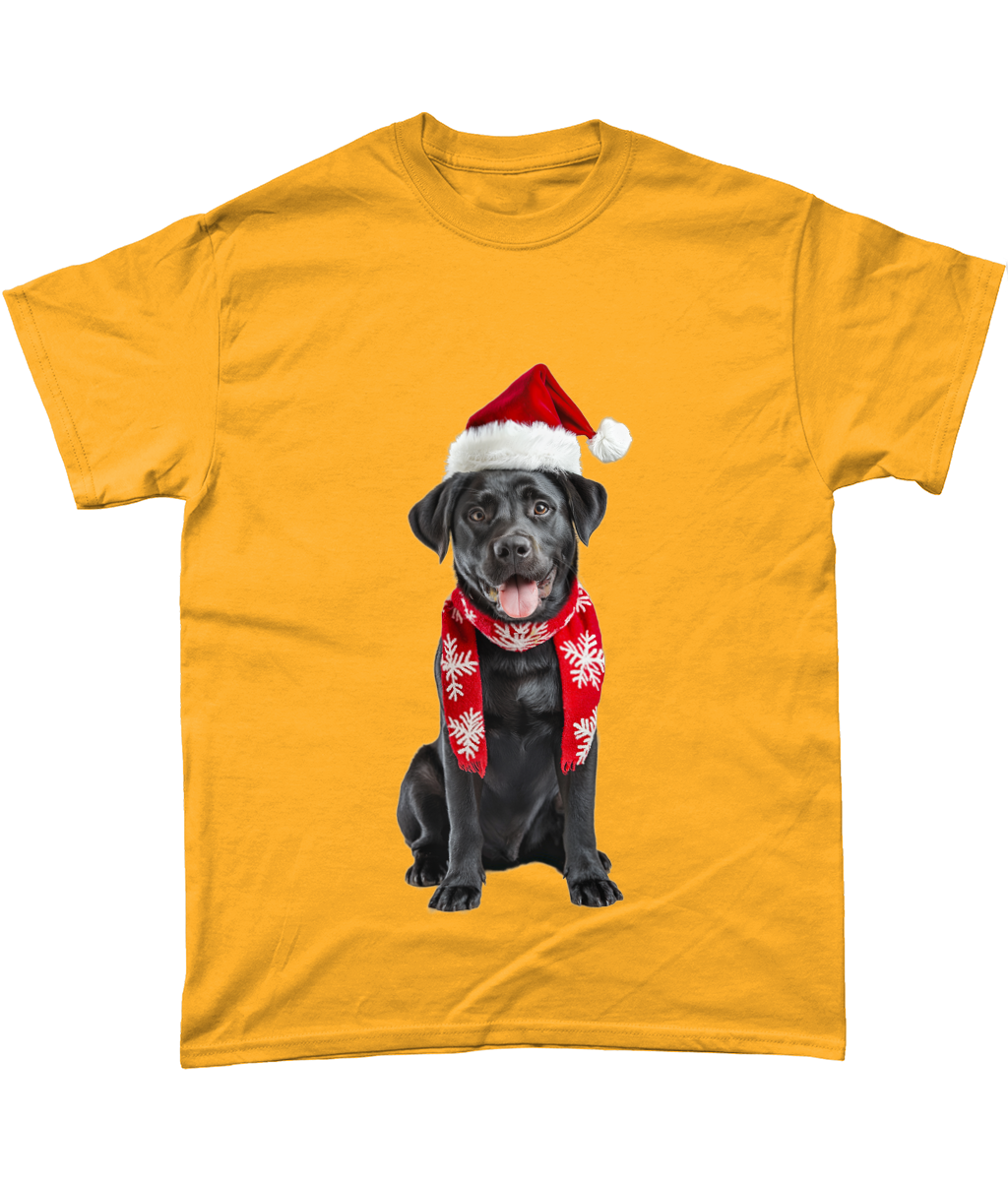 Labrador Festive Du T-Shirt (Standard)