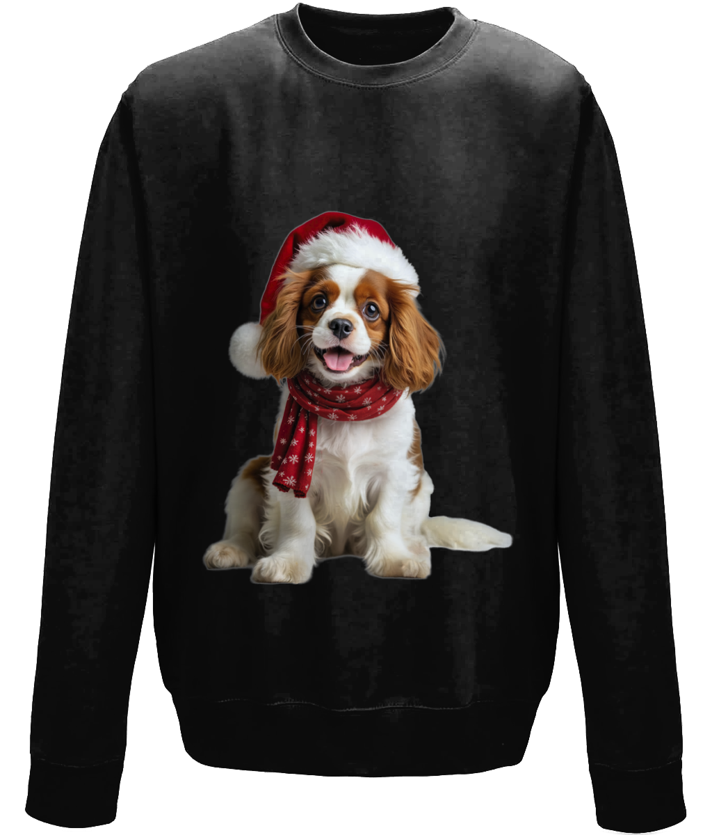 King Charles Festive Remy Childrens Sweatshirt (Standard)