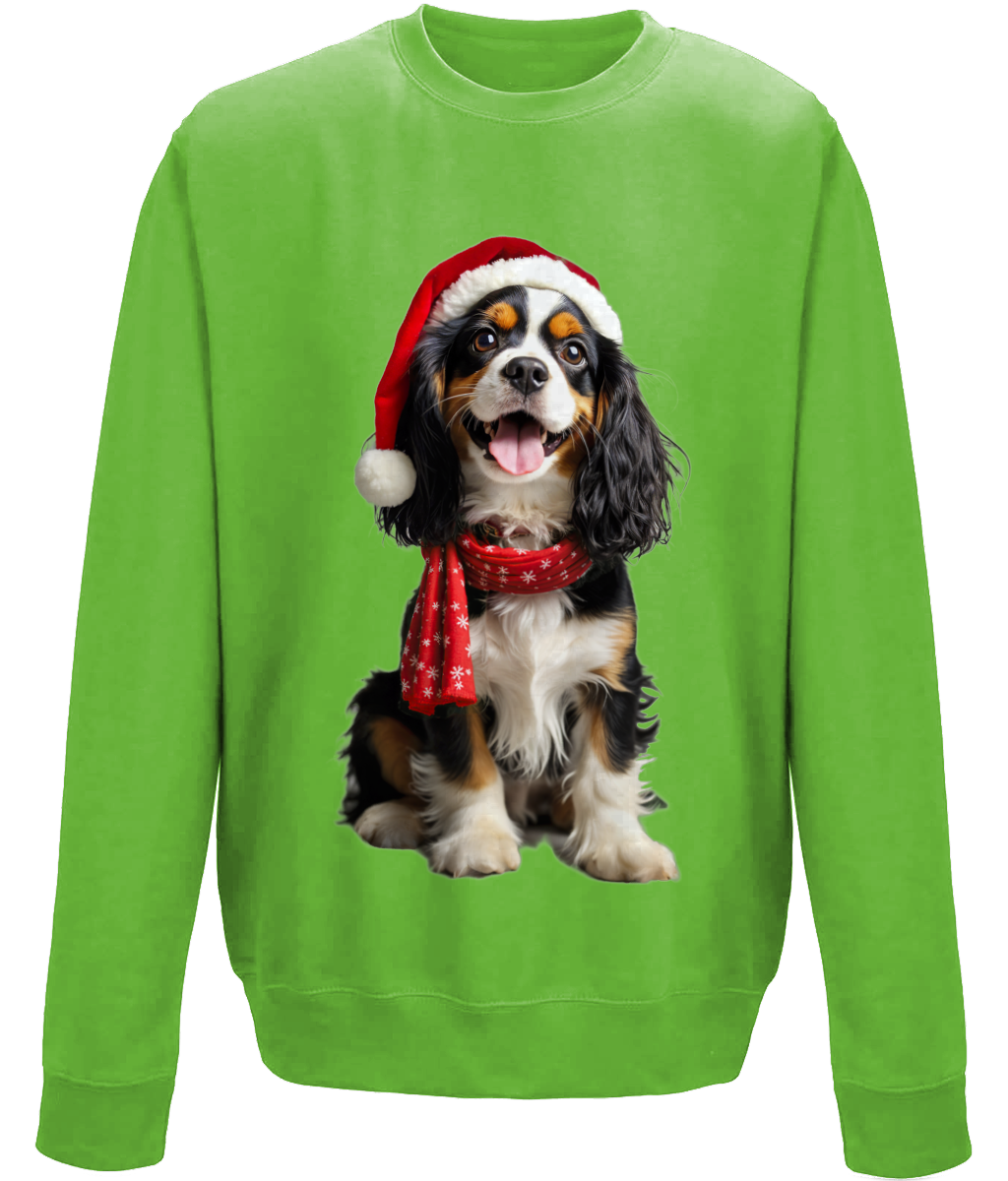 King Charles Festive Noodle Childrens Sweatshirt (Standard)