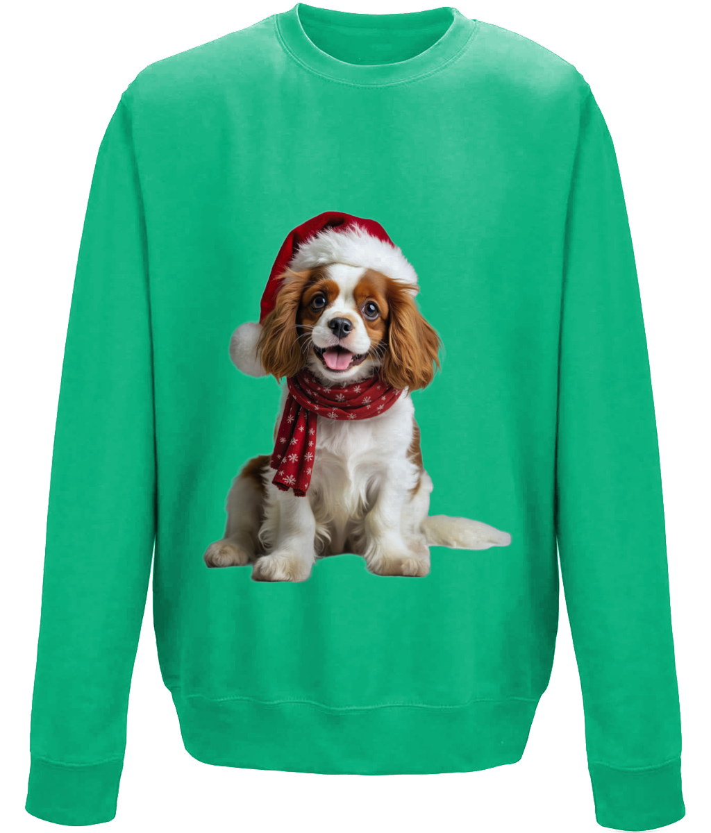 King Charles Festive Remy Childrens Sweatshirt (Standard)