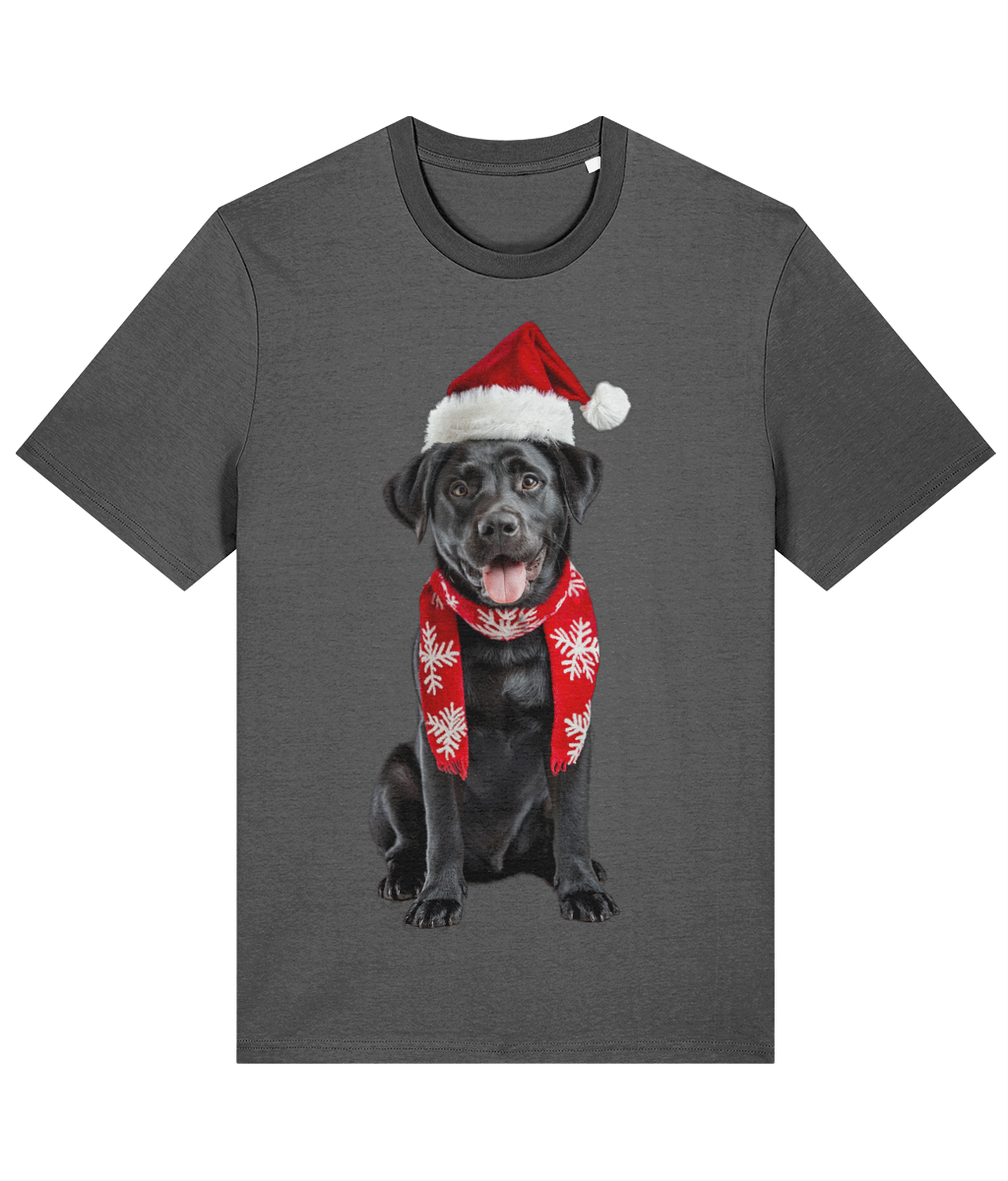 Labrador Festive Du T-shirt (Premium)