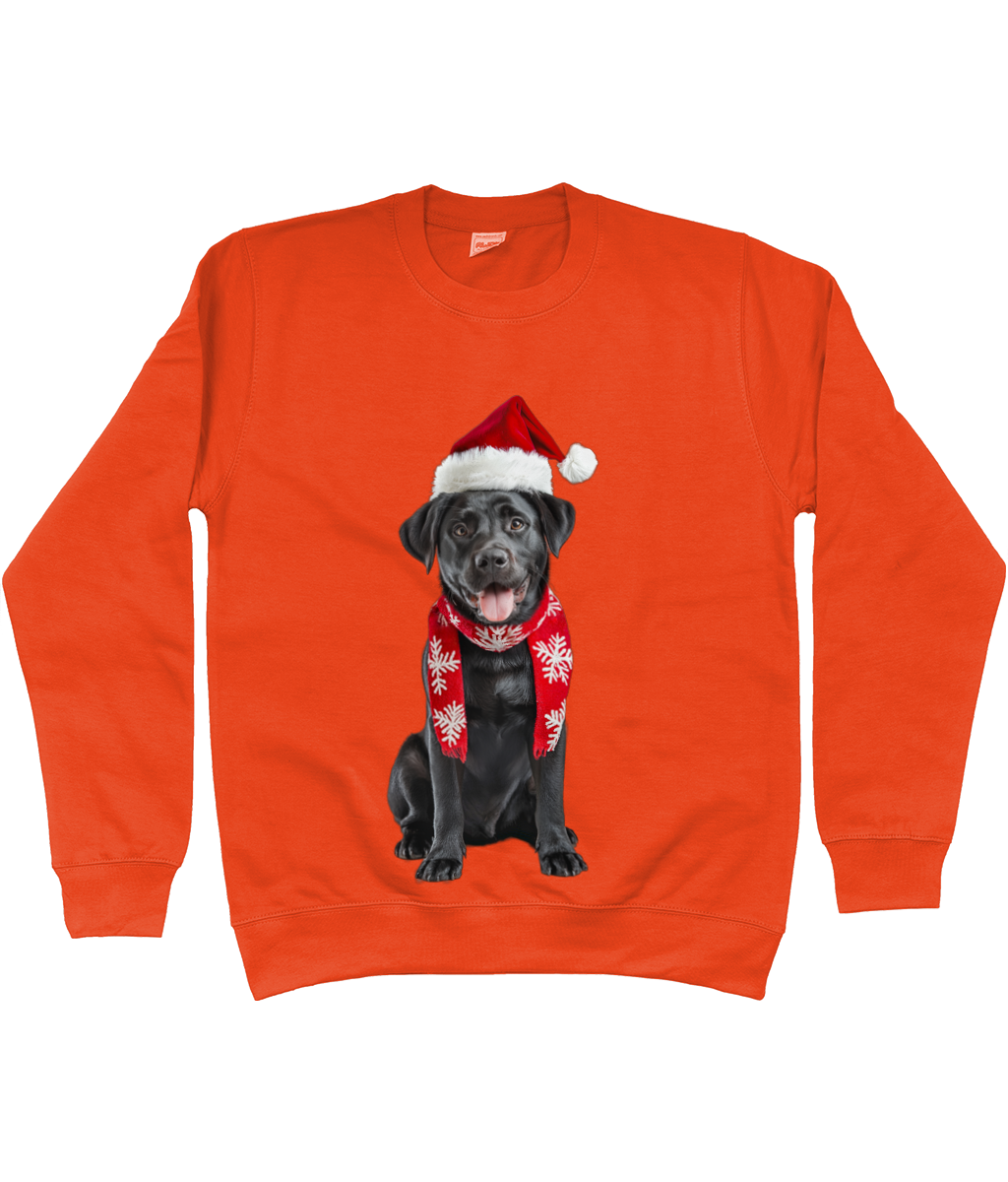 Labrador Festive Du Sweatshirt (Standard)