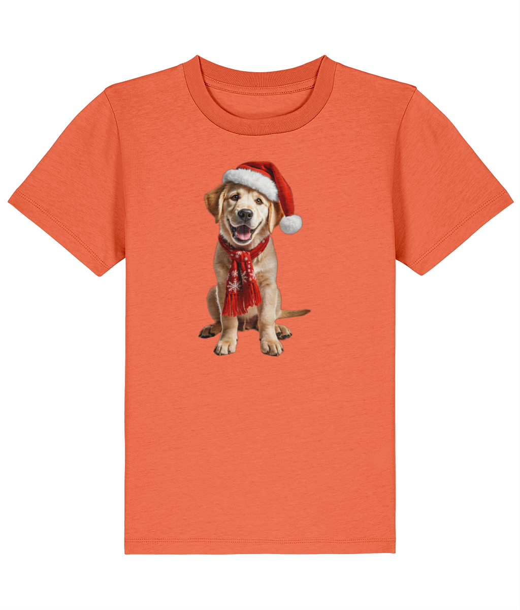 Labrador Festive Aur Childrens T-shirt (Premium)