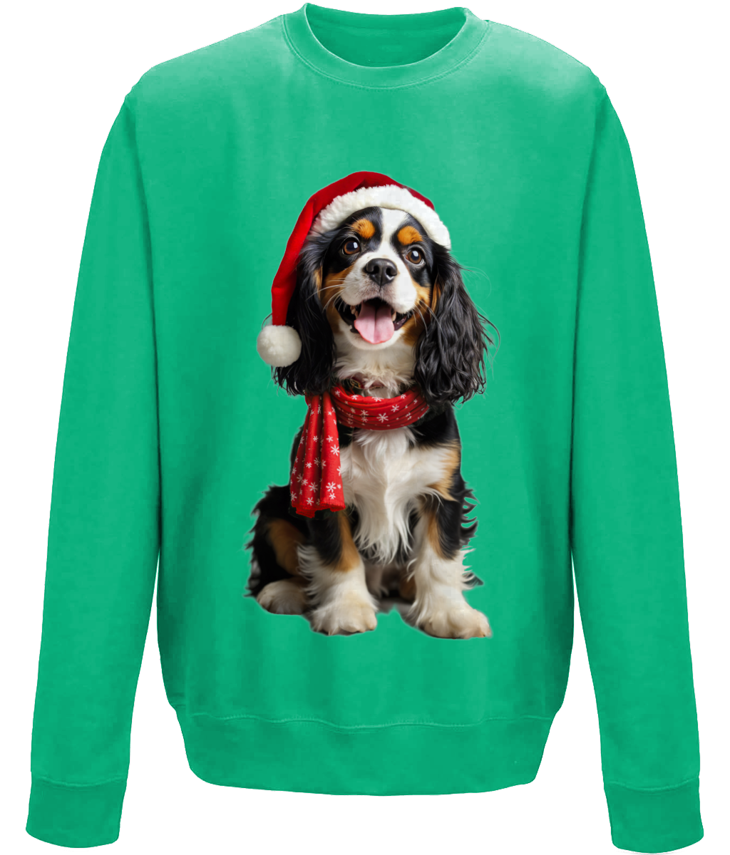 King Charles Festive Noodle Childrens Sweatshirt (Standard)