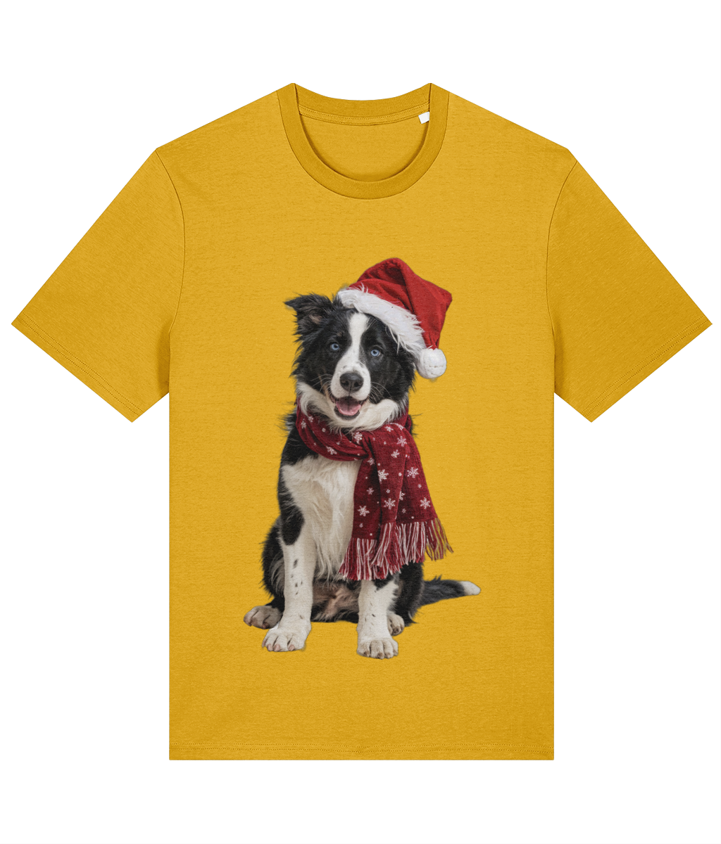 Border Collie Festive Seren T-shirt (Premium)