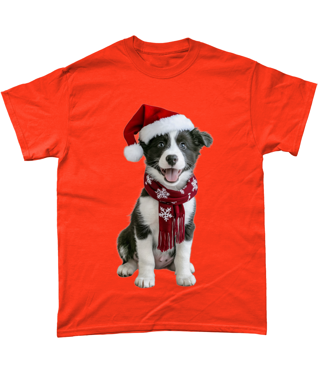 Border Collie Festive Pup T-Shirt (Standard)