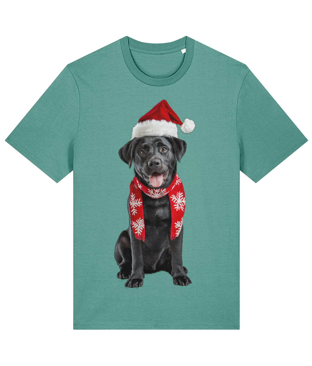 Labrador Festive Du T-shirt (Premium)