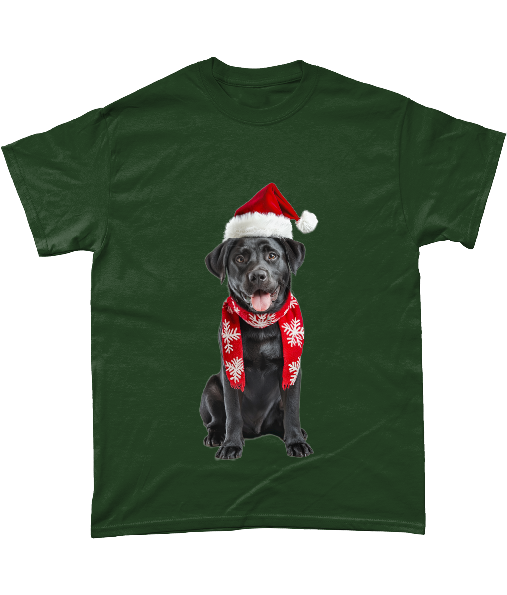 Labrador Festive Du T-Shirt (Standard)