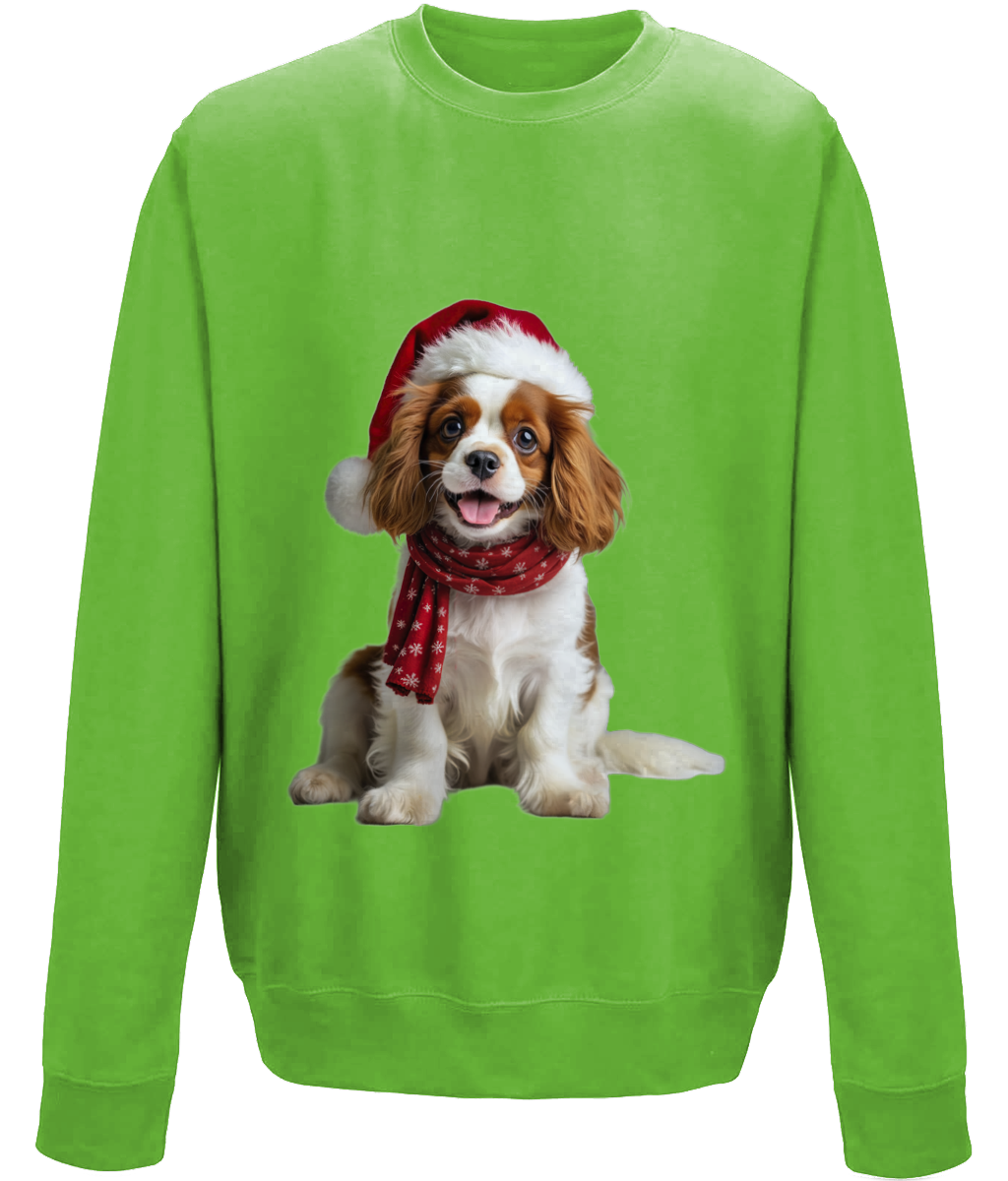 King Charles Festive Remy Childrens Sweatshirt (Standard)