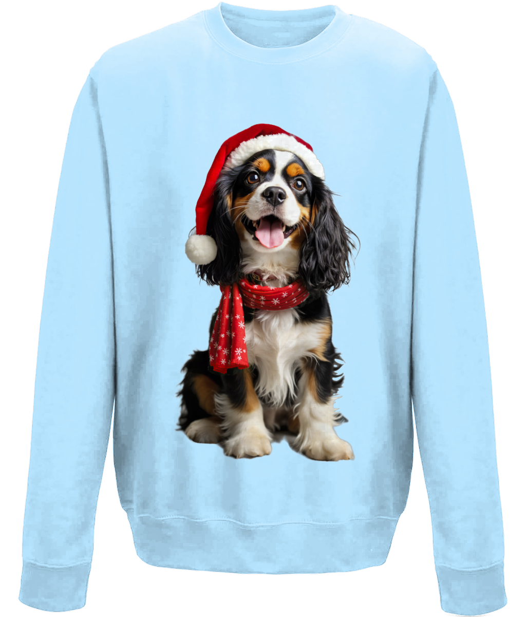 King Charles Festive Noodle Childrens Sweatshirt (Standard)