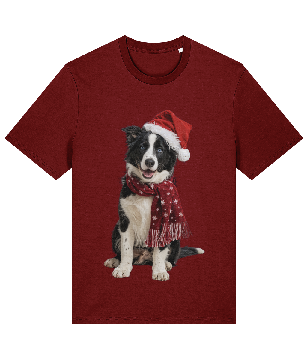 Border Collie Festive Seren T-shirt (Premium)