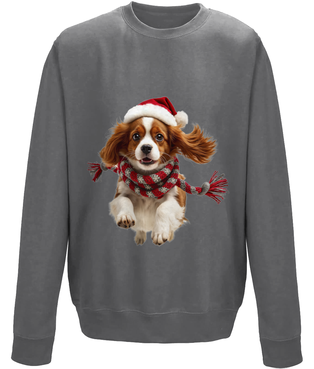 King Charles Festive Ceinwen Childrens Sweatshirt (Standard)