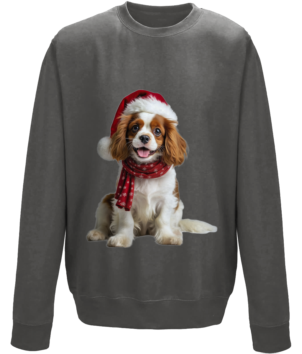 King Charles Festive Remy Childrens Sweatshirt (Standard)