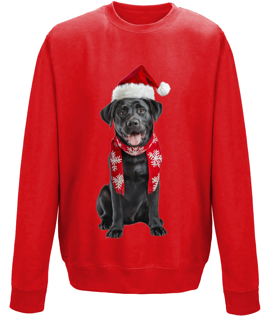 Labrador Festive Du Childrens Sweatshirt (Standard)