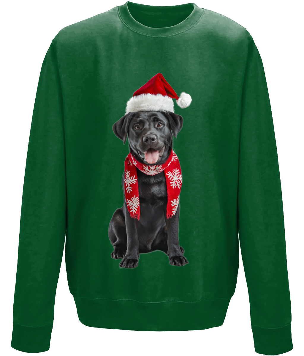 Labrador Festive Du Childrens Sweatshirt (Standard)