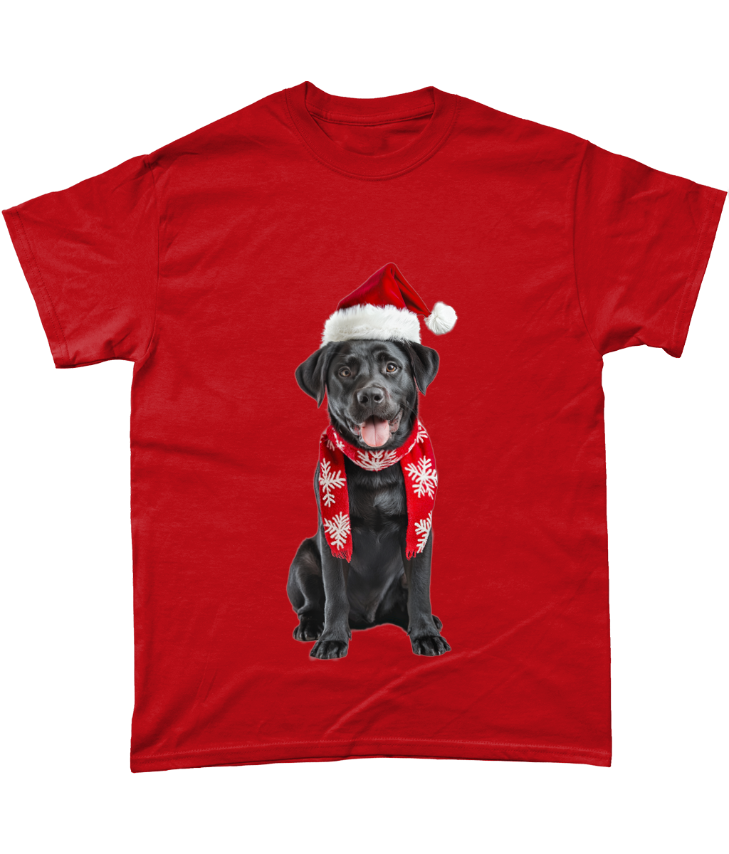 Labrador Festive Du T-Shirt (Standard)