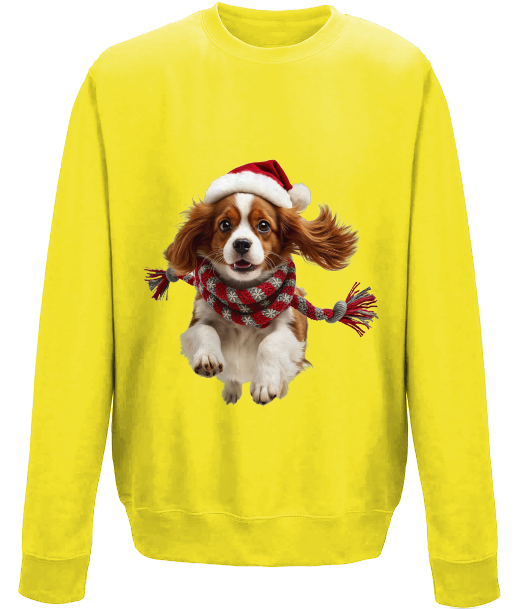 King Charles Festive Ceinwen Childrens Sweatshirt (Standard)