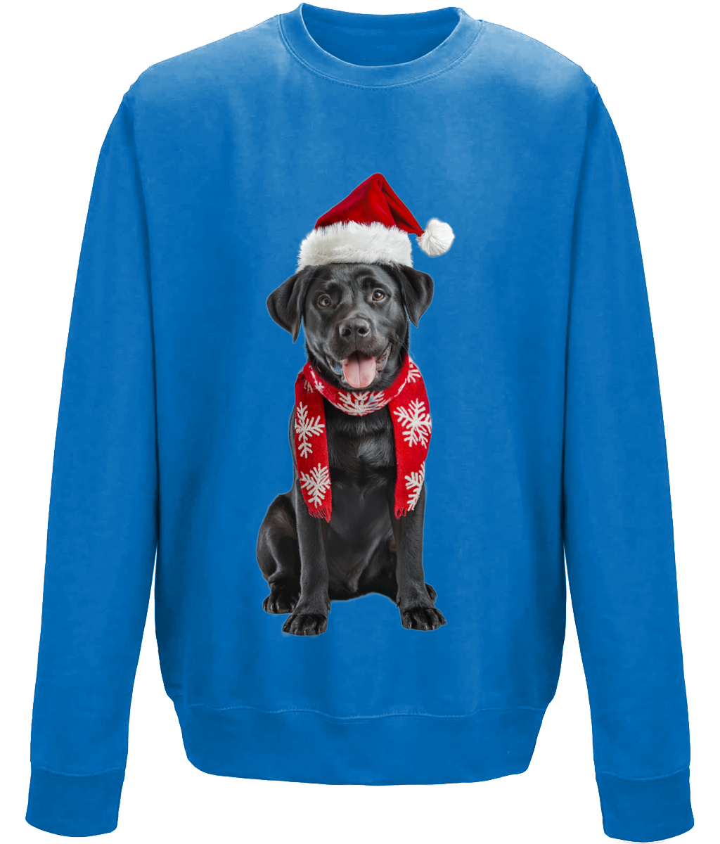 Labrador Festive Du Childrens Sweatshirt (Standard)