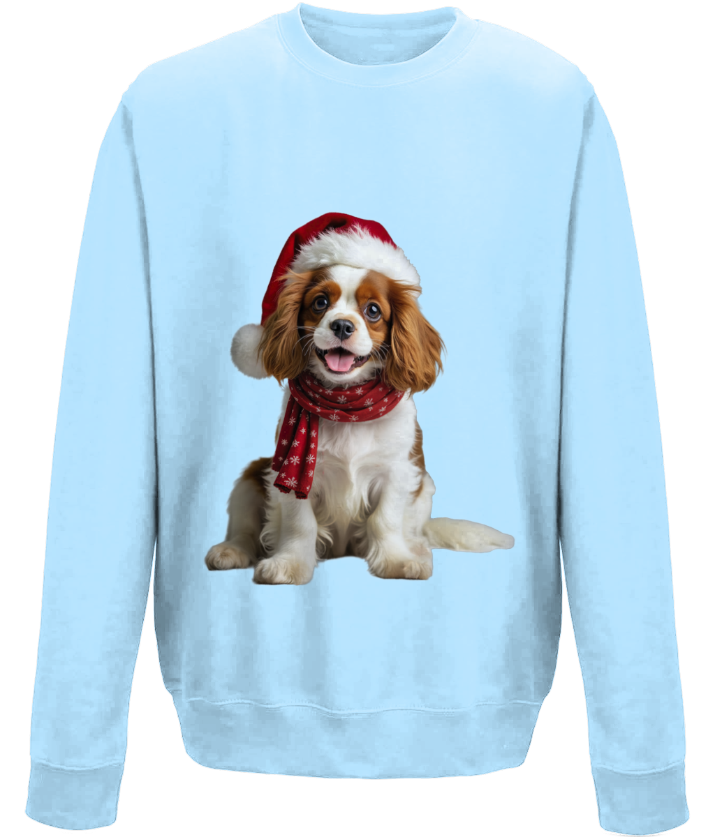 King Charles Festive Remy Childrens Sweatshirt (Standard)