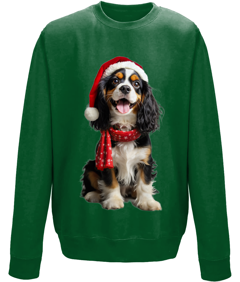 King Charles Festive Noodle Childrens Sweatshirt (Standard)