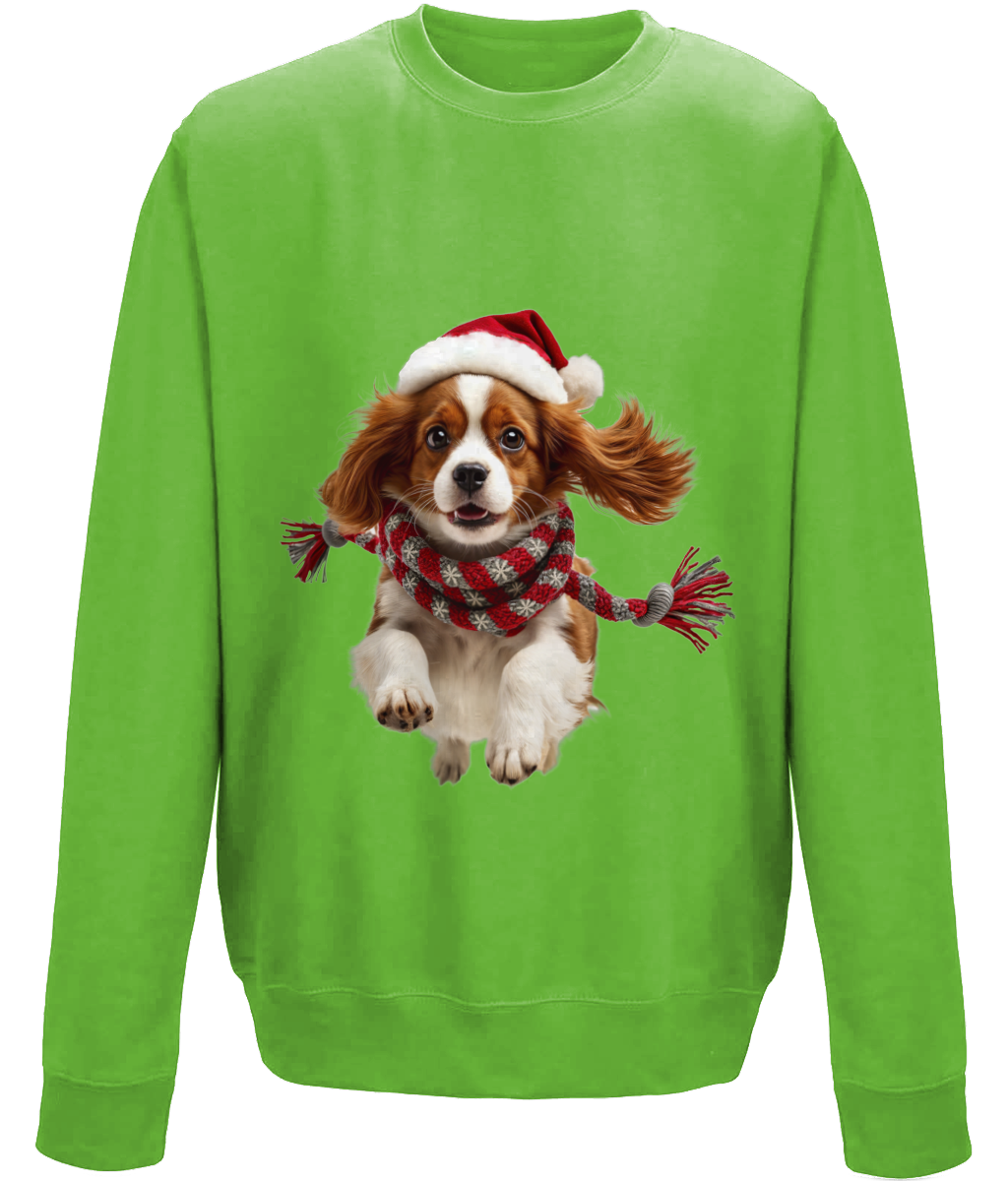 King Charles Festive Ceinwen Childrens Sweatshirt (Standard)