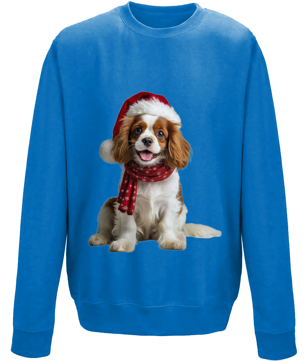 King Charles Festive Remy Childrens Sweatshirt (Standard)