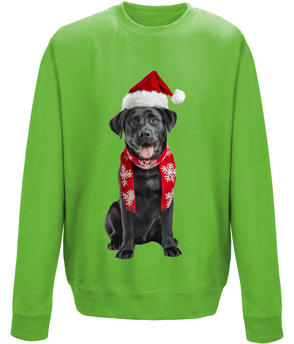 Labrador Festive Du Childrens Sweatshirt (Standard)