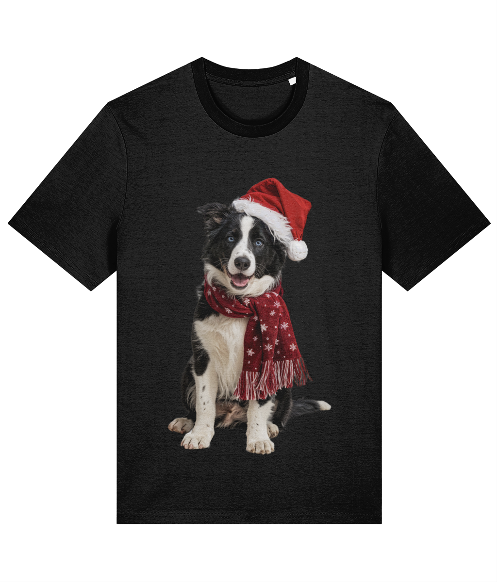 Border Collie Festive Seren T-shirt (Premium)