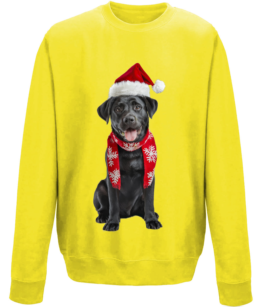 Labrador Festive Du Childrens Sweatshirt (Standard)