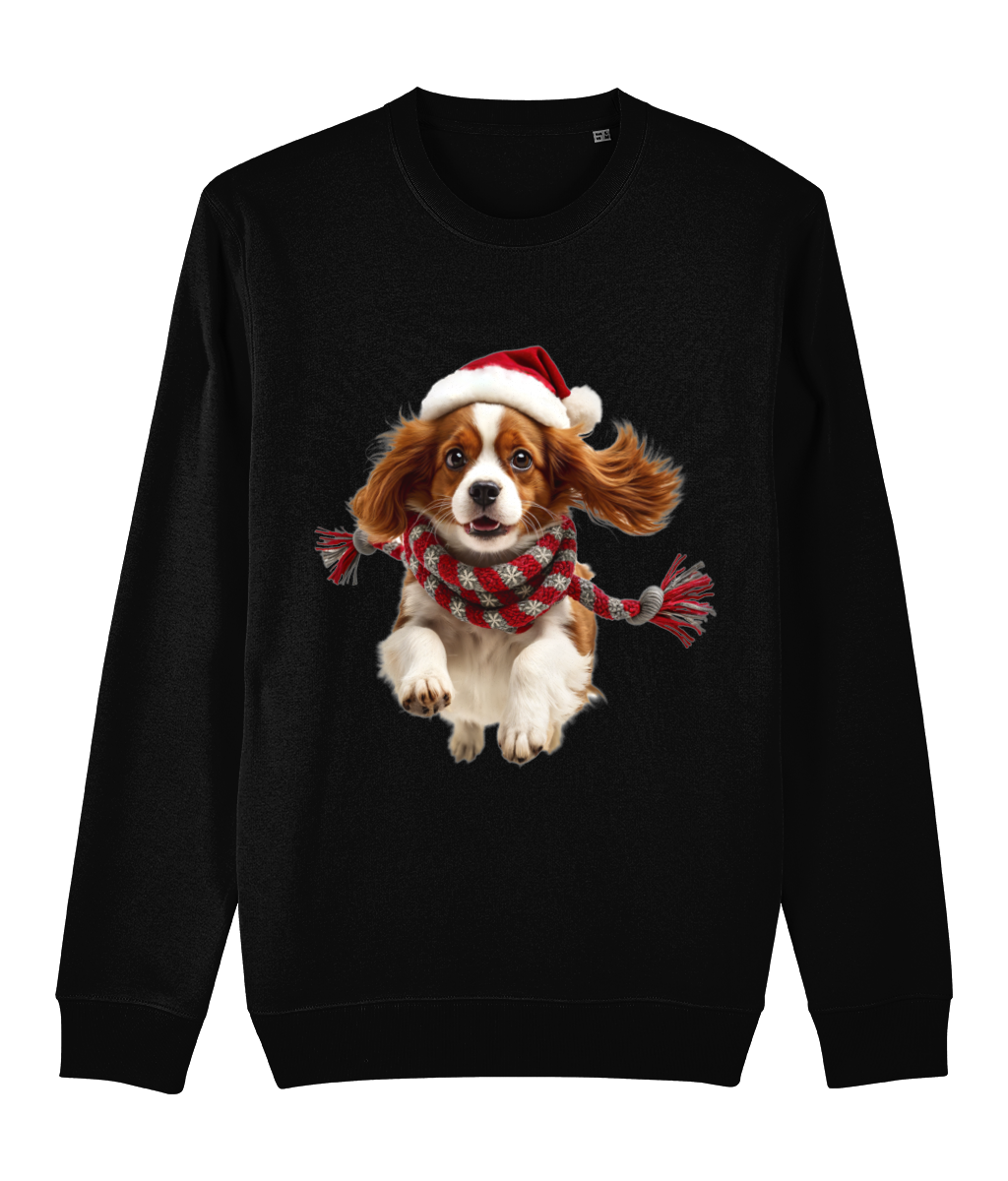 King Charles Festive Ceinwen Sweatshirt (Premium)