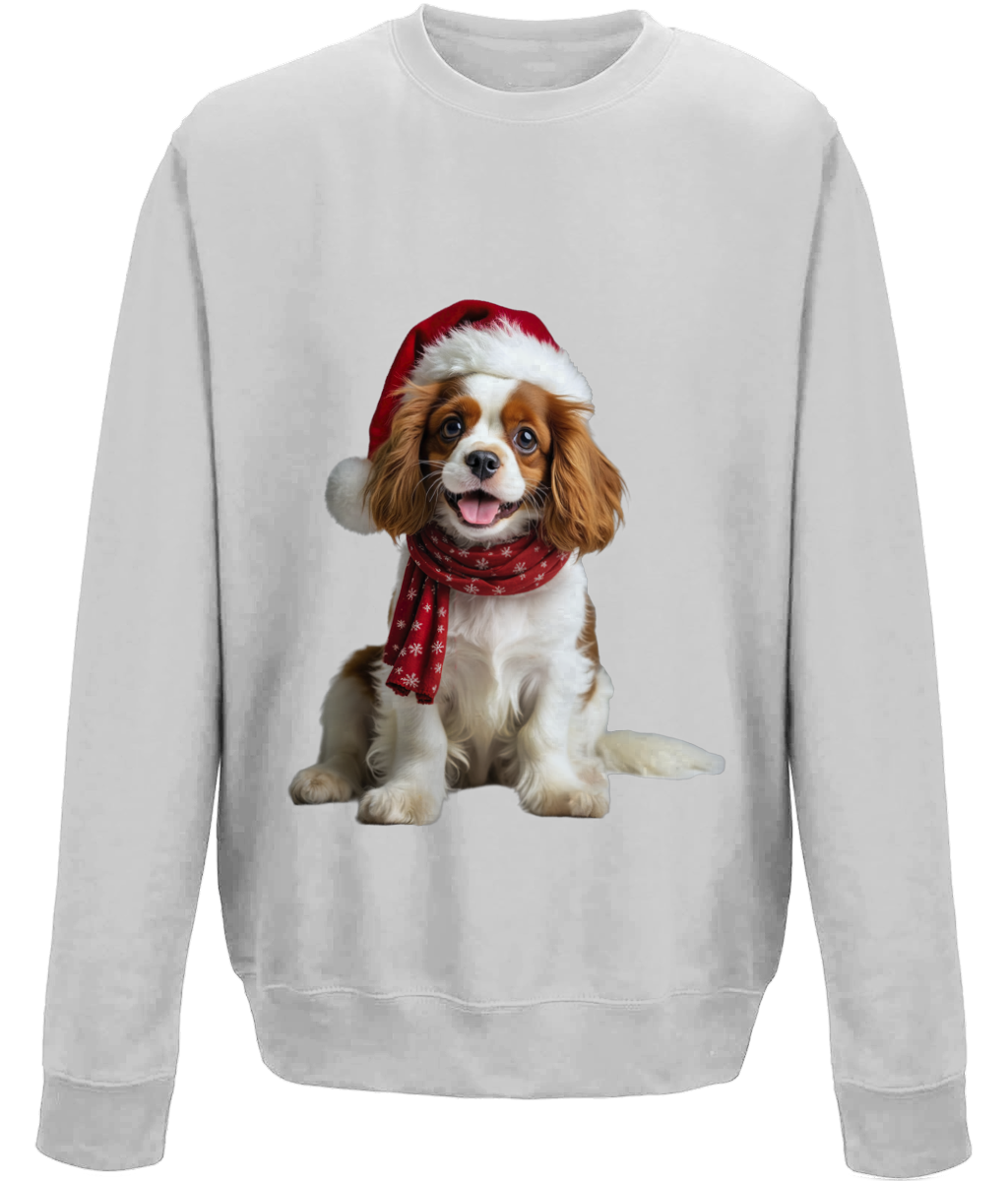 King Charles Festive Remy Childrens Sweatshirt (Standard)