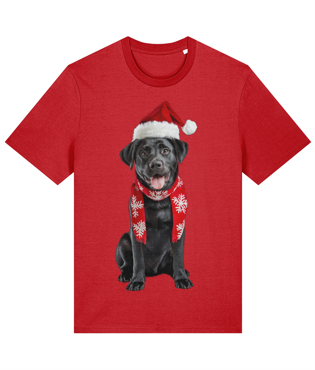 Labrador Festive Du T-shirt (Premium)