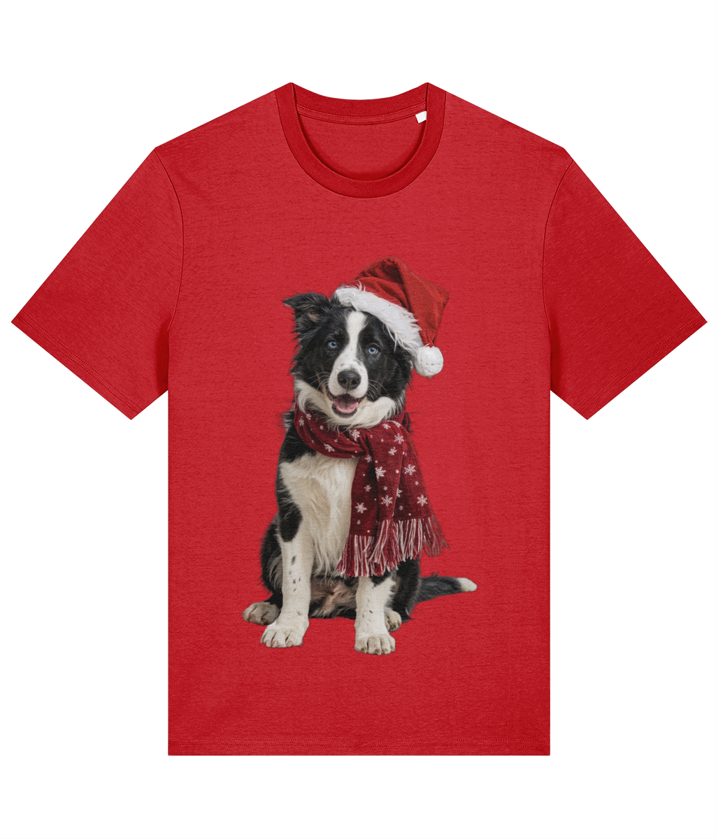 Border Collie Festive Seren T-shirt (Premium)