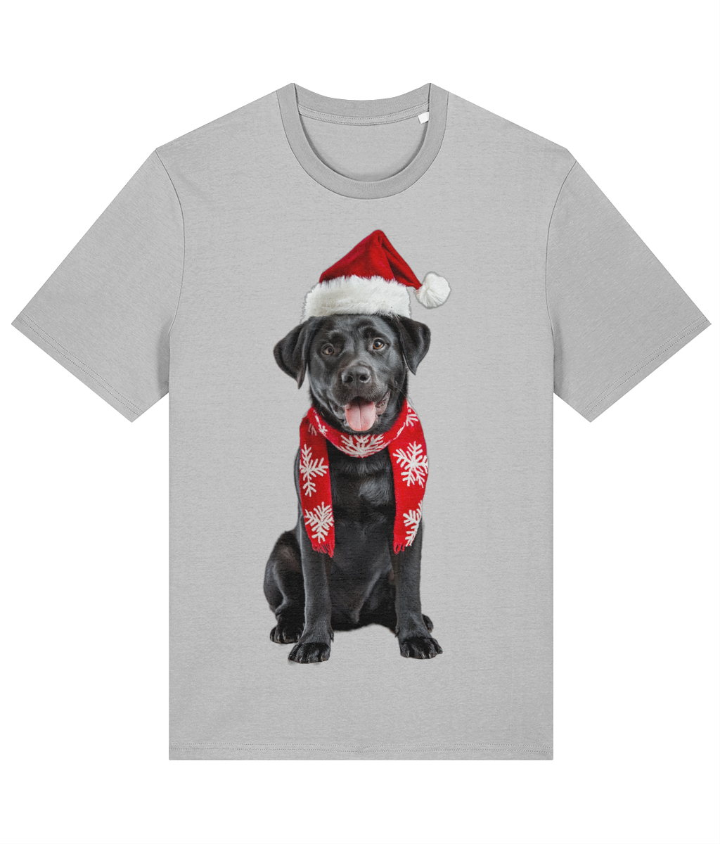 Labrador Festive Du T-shirt (Premium)