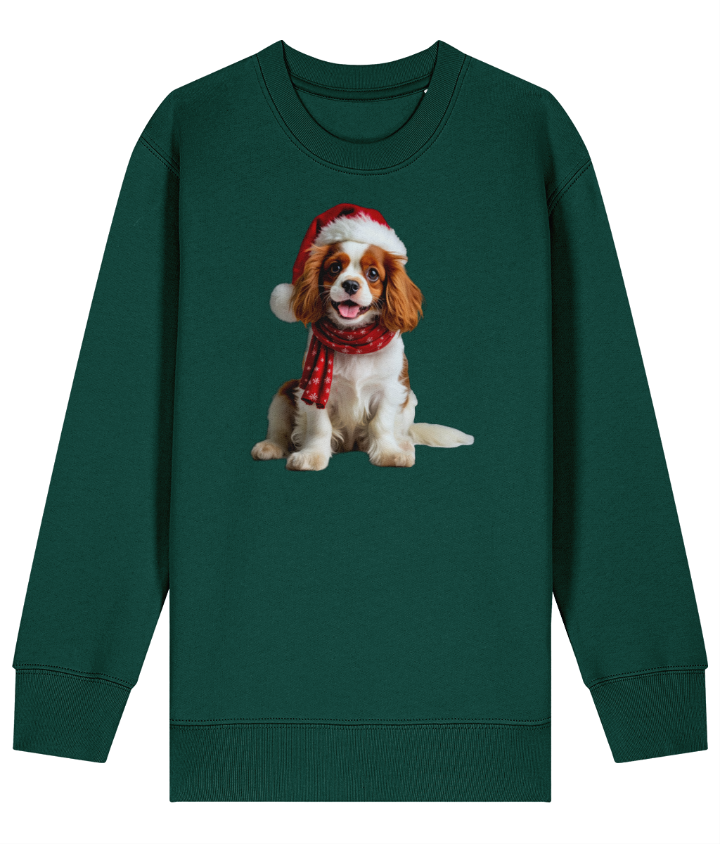 King Charles Festive Remy Childrens Sweatshirt (Premium).