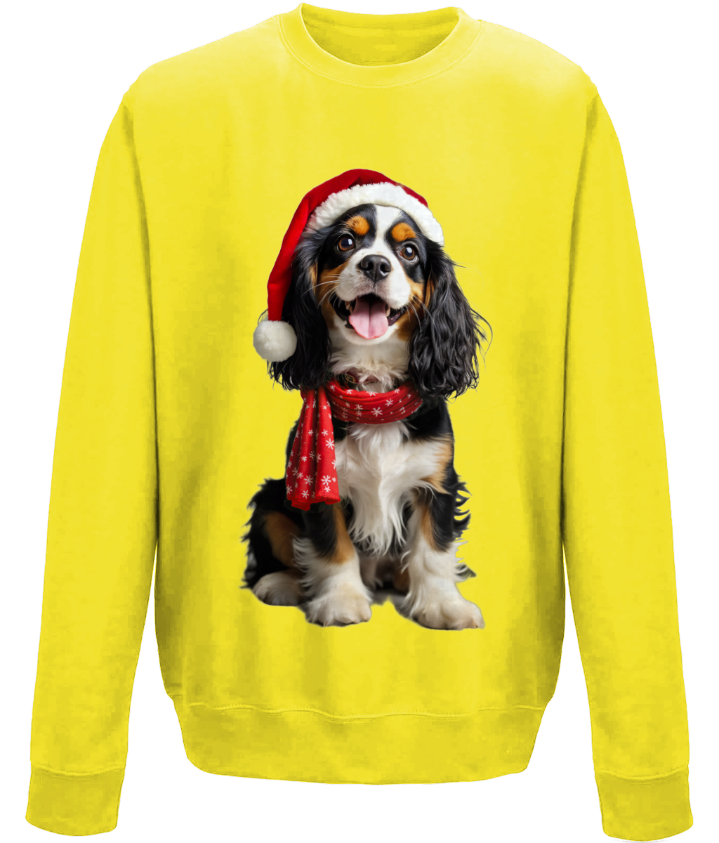 King Charles Festive Noodle Childrens Sweatshirt (Standard)