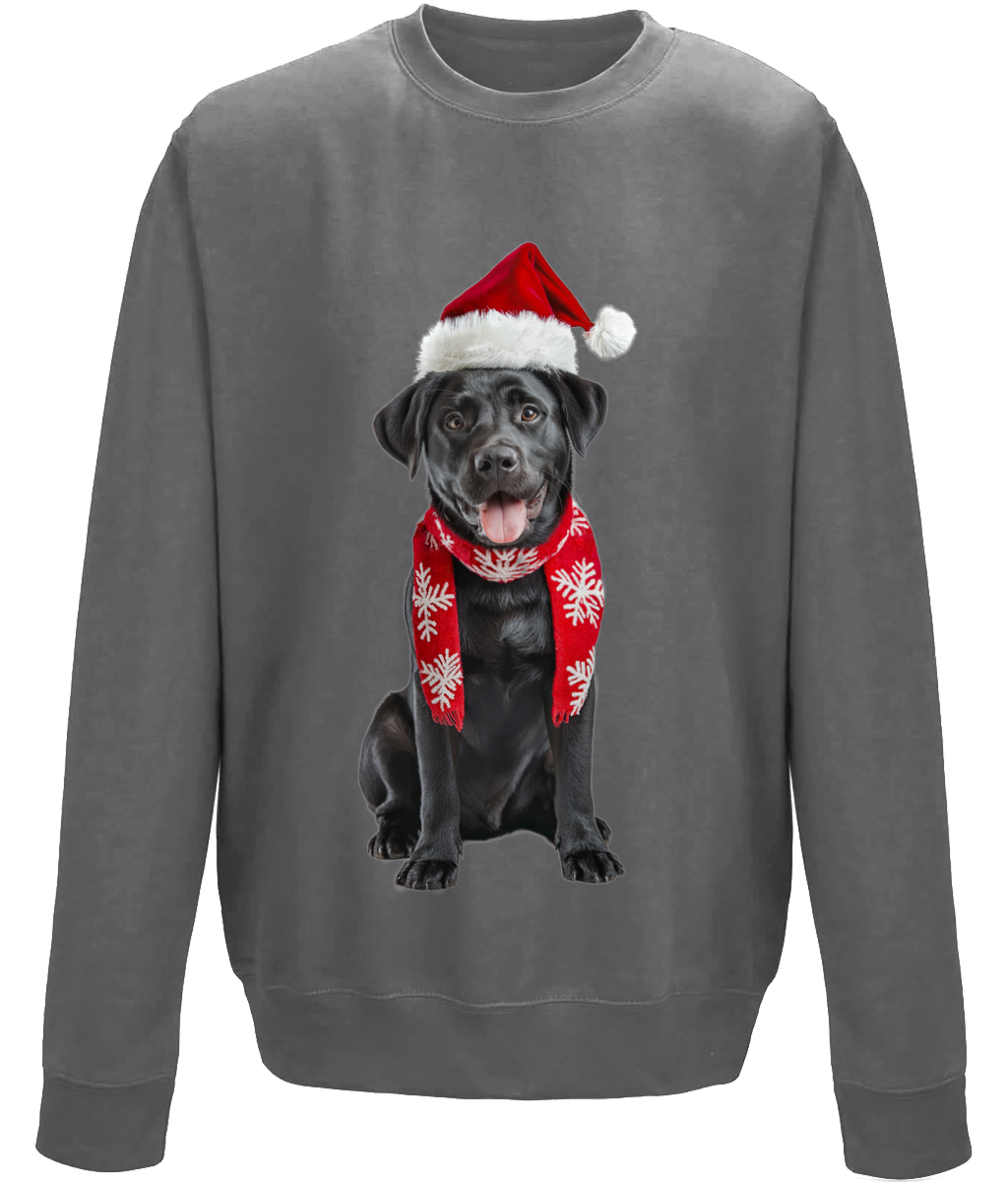 Labrador Festive Du Childrens Sweatshirt (Standard)