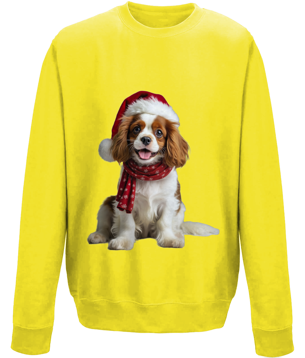 King Charles Festive Remy Childrens Sweatshirt (Standard)