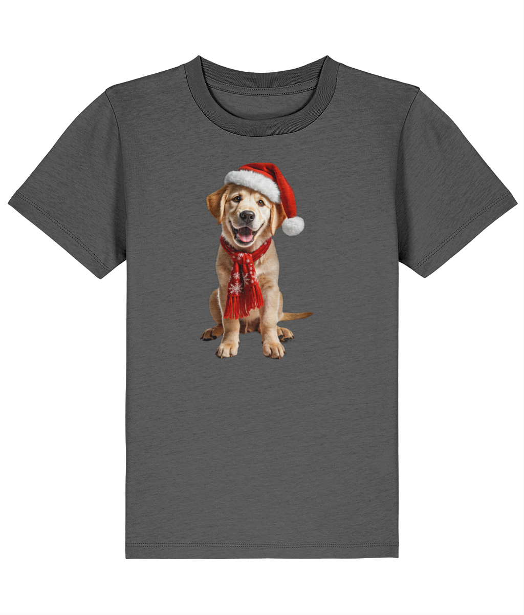 Labrador Festive Aur Childrens T-shirt (Premium)