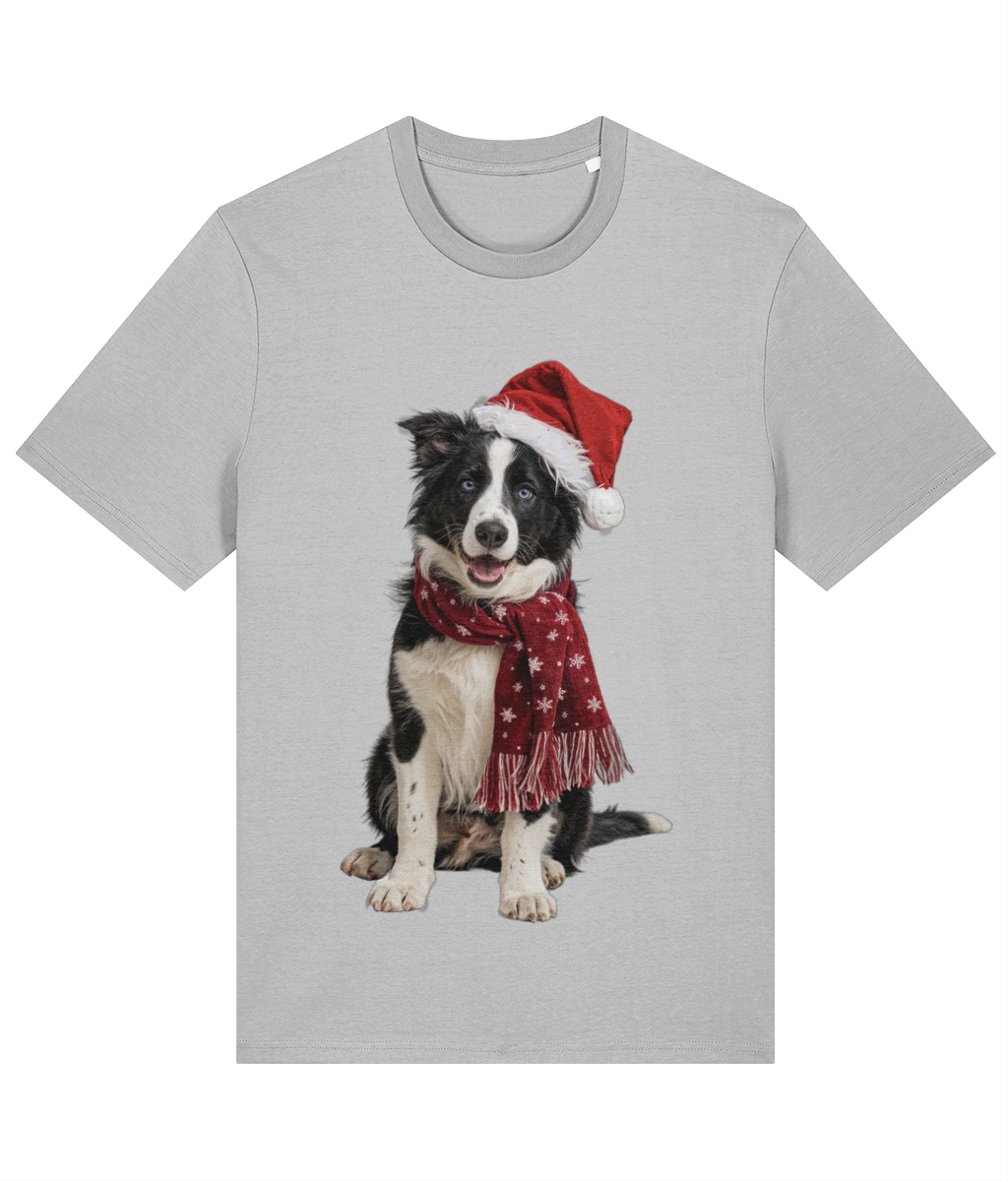 Border Collie Festive Seren T-shirt (Premium)