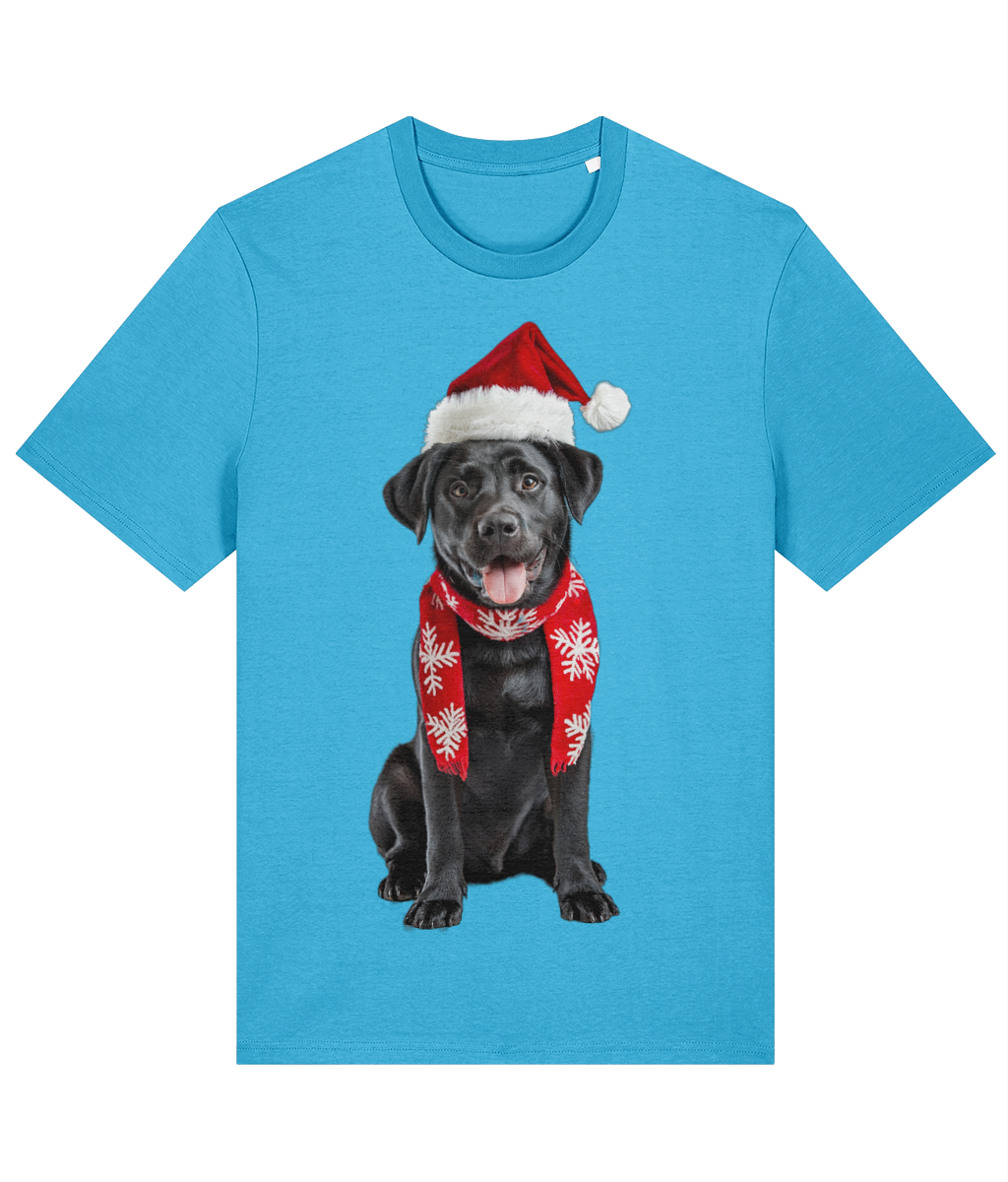 Labrador Festive Du T-shirt (Premium)