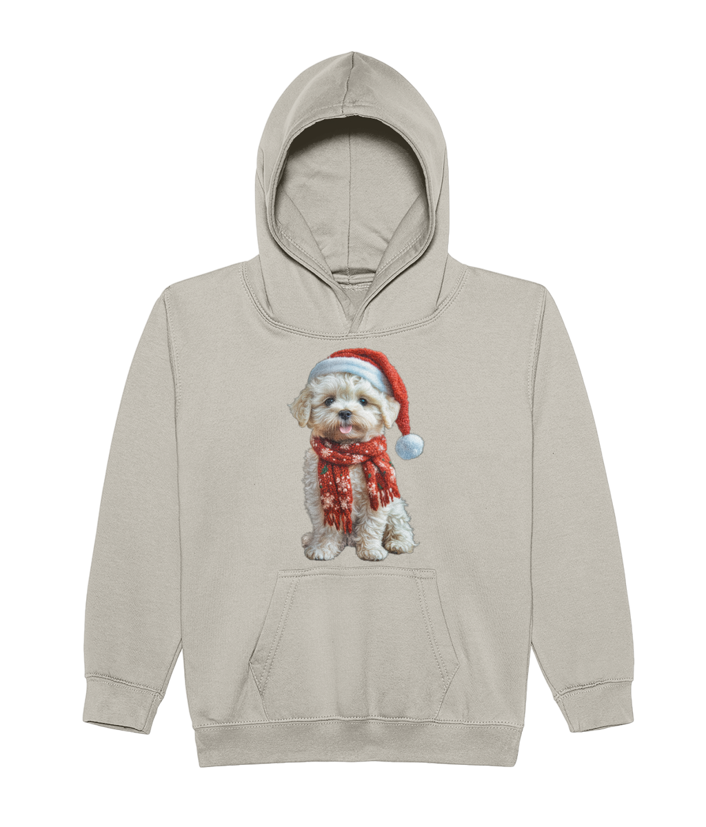 Front- new